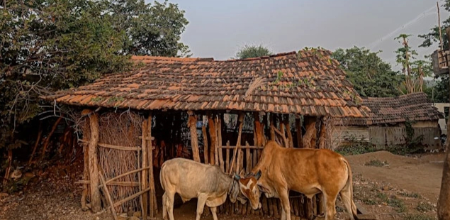 mHealth for Rural Healthcare